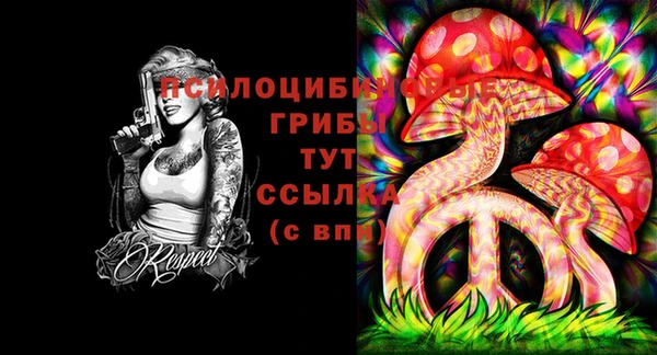 a pvp Покров