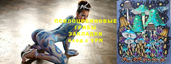 прущие грибы Бикин