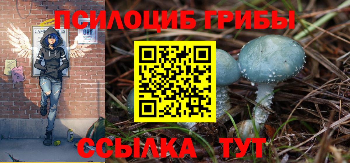 Псилоцибиновые грибы прущие грибы Железногорск