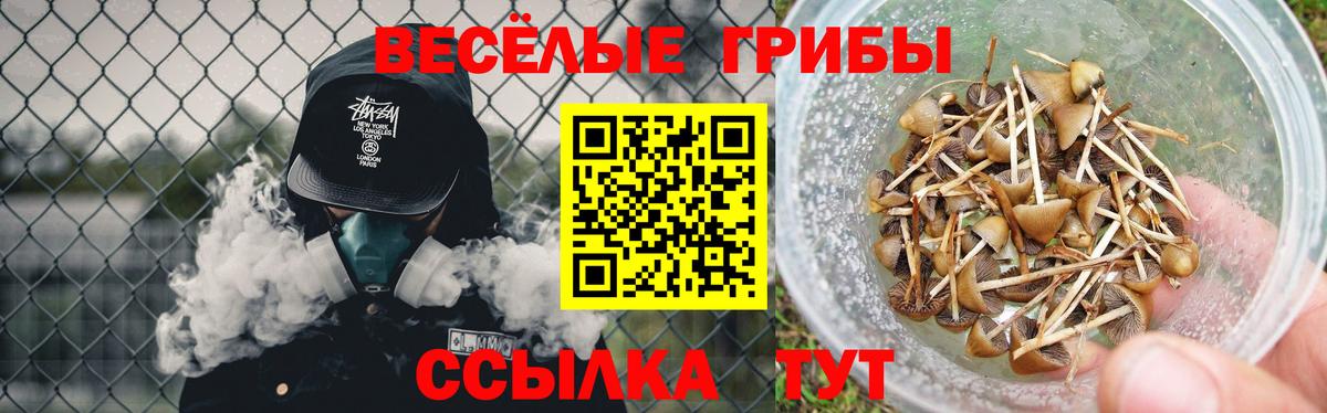 Псилоцибиновые грибы мухоморы  Вход с VPN  Железногорск  Галлюциногенные грибы MAGIC MUSHROOMS 